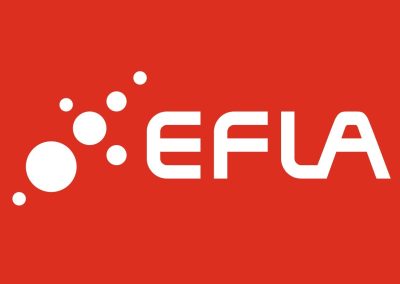 Efla verkfræðistofa