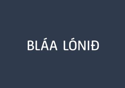 Bláa lónið hf.